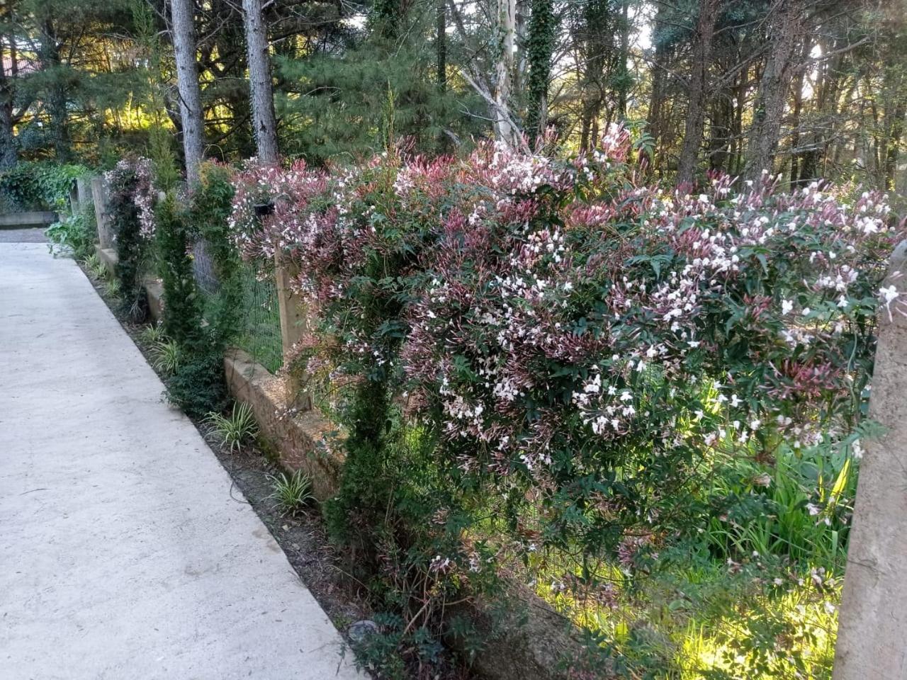 A Vida E Bella - Gramado Rs Apartment Ngoại thất bức ảnh